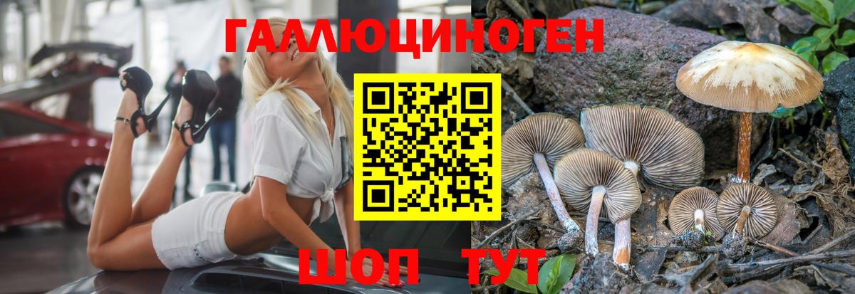 Псилоцибиновые грибы ЛСД Бутурлиновка